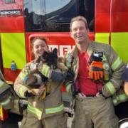 Cleo was rescued by firefighters from Hornchurch