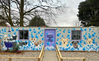Hopefield Animal Sanctuary in Brentwood has had a refurb