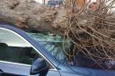 A car was crushed during Storm Eunice in Cranham Road, Hornchurch