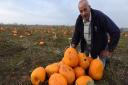 Pumpkin farmer Ray Chapman in his field in Upminster