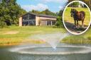 This Wyatts Green property is being sold with its own equestrian facilities