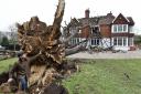 Dominic Good looks at the roots of a 400-year-old oak tree which was uprooted by Storm Eunice and fell onto his property in Brentwood.