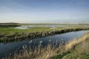 The Marshes picked up the green award recently. Photo: Andy Hay/RSPB