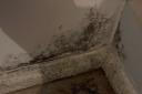 Mould in Charlotte Smith's Harold Hill home