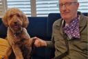 Steve Thomas and his faithful Nacho... ready for MS-UK Purple Dog Walk challenge
