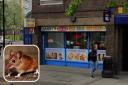 A complaint which led to an inspection revealed a mouse problem at Barry's Fish Bar in Bromley-by-Bow