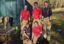 Roger the Cairn Terrier was rescued by firefighters near St Johns Road