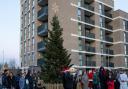 A newly planted tree was unveiled at the Christmas celebration in Beam Park