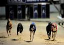 The Romford dogs will be back from May 17 at the stadium in London Road