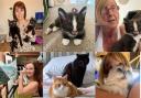 Pippa's Army rescues and looks after around 60-65 cats in Havering and Thurrock each month