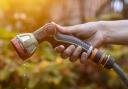 Essex & Suffolk Water has put a hosepipe ban in place