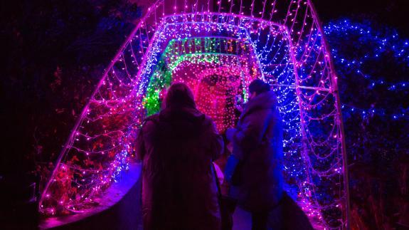 Romford Recorder: Havering Christmas Land features light attractions. Romford Recorder: Havering Christmas Land features light attractions.