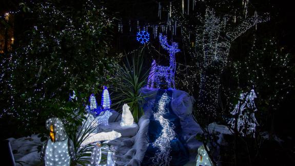 Romford Recorder: Havering Christmas Land. Romford Recorder: Havering Christmas Land.