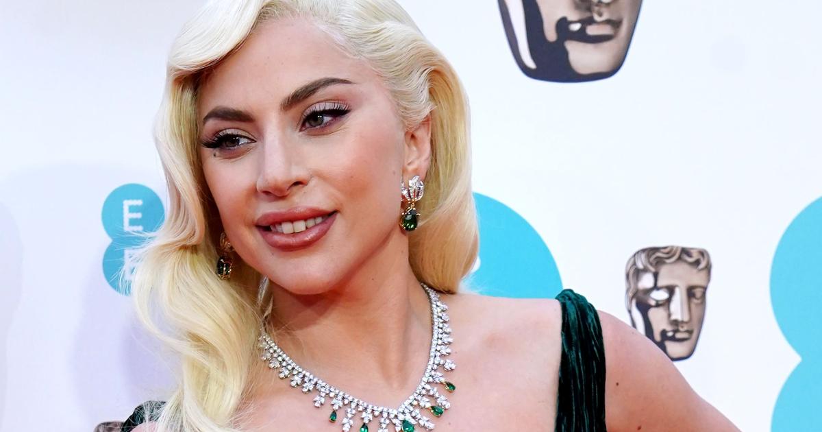 Man who shot Lady Gaga's dog walker and stole her French bulldogs gets 21 years - Vimarsana News
