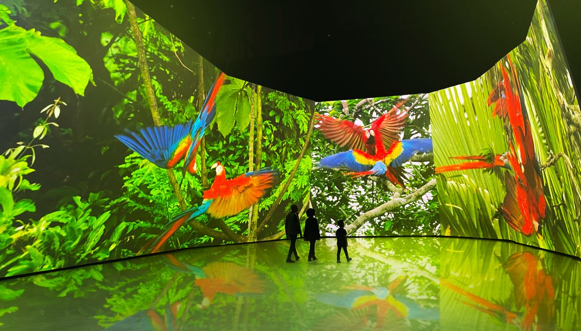 David Attenborough's BBC Earth Experience Opens New Earl's Court Venue - Vimarsana News