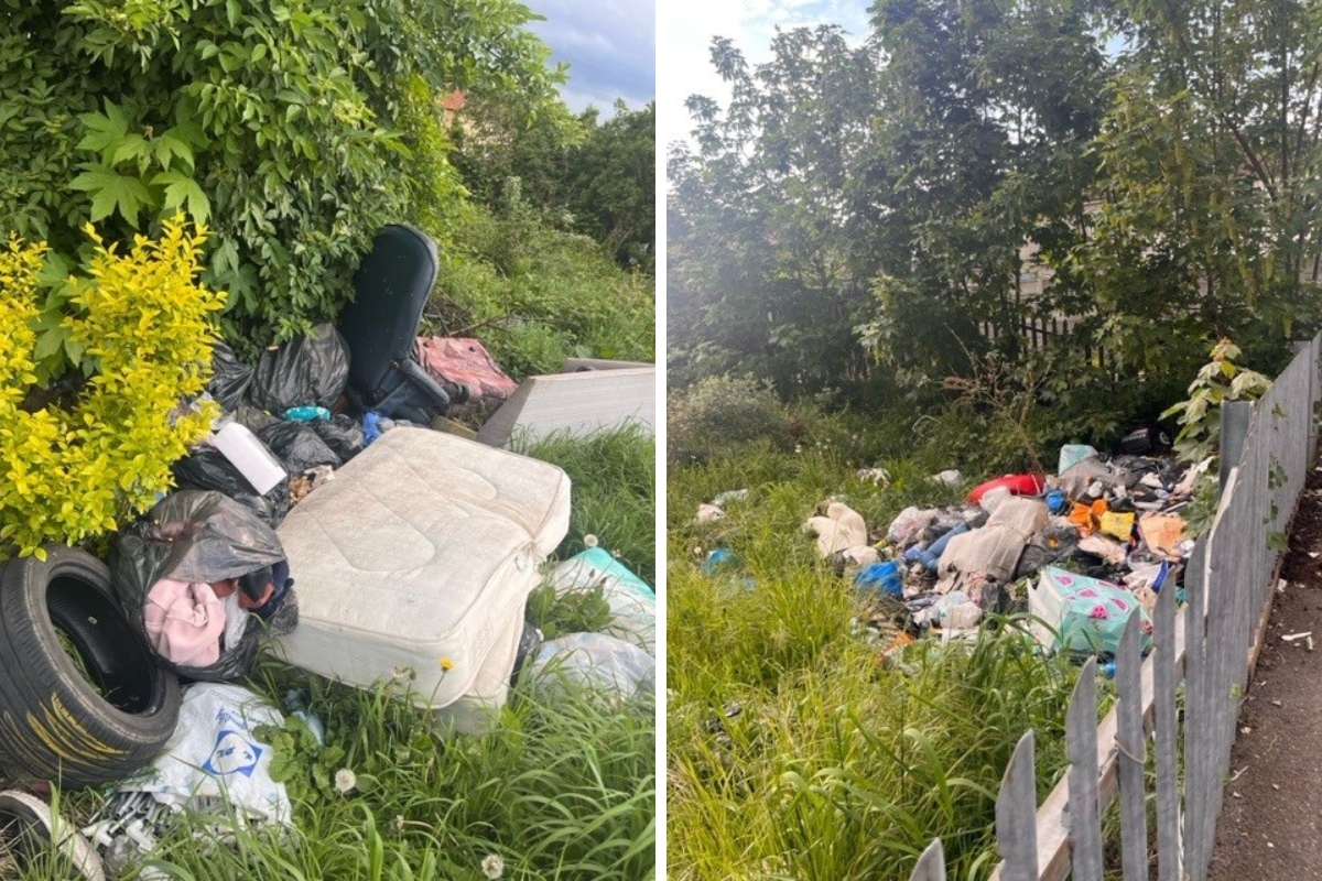 Tenterden Road, Dagenham blighted by fly-tipping, resident says - Vimarsana News