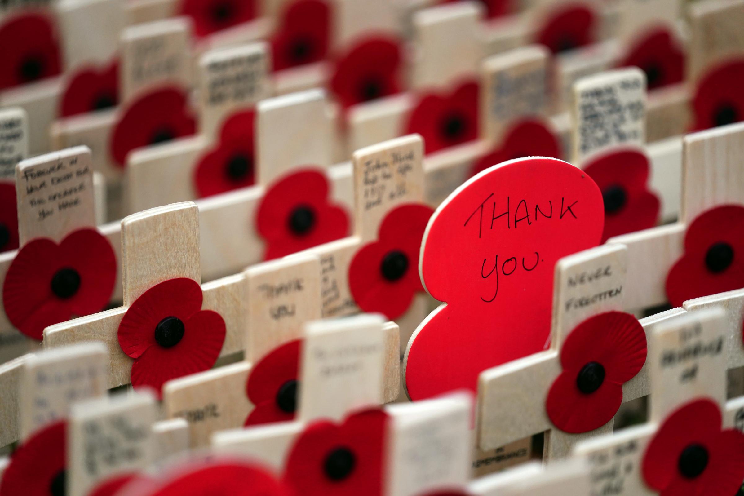 Remembrance 2023: East London services and parades - Vimarsana News