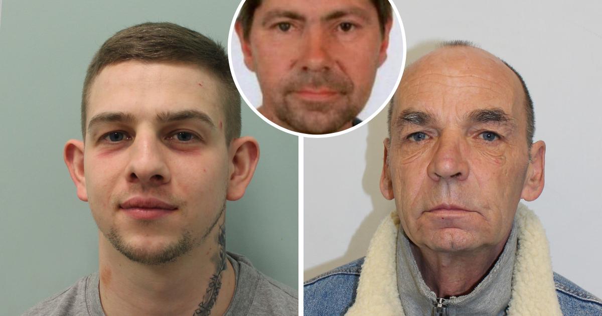 Stratford and Cricklewood men jailed after murder of Pinner man - Vimarsana News