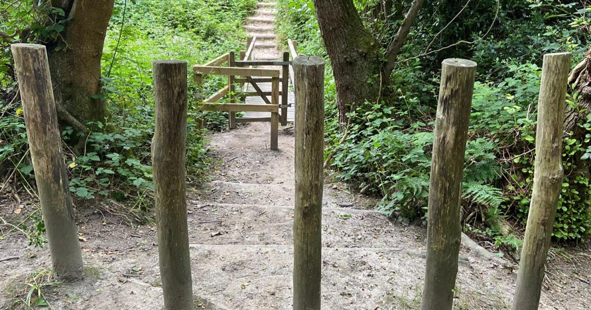 Campaigners call for England's path network to be made more inclusive - Vimarsana News