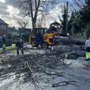 Crews cutting a fallen tree on Parkway in Gidea Park.