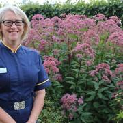 Kathryn Halford in the Lavender Garden at Queen's Hospital. Picture: BHRUT