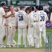 Simon Harmer celebrates with Essex teammates after taking a wicket against Kent