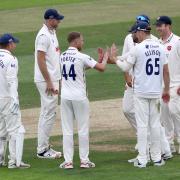 Jamie Porter celebrates a wicket with Essex teammates