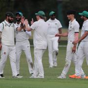 Harold Wood players celebrate a wicket