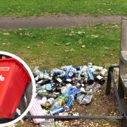 Havering Council has no plans to introduce wheelie bins for waste collection, a councillor said