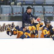 Raiders coach Sean Easton looks on from the bench against Bees. Image: John Scott