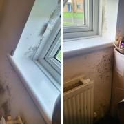 These photos show the black mould in Daniella Dunmore's home