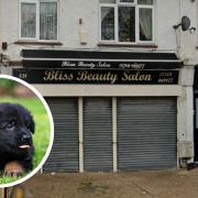 A dog grooming salon is seeking council approval to replace a Hornchurch hairdressers
