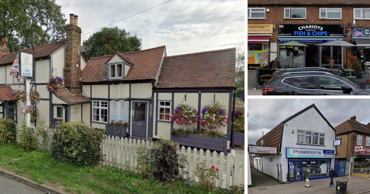 National Fish & Chip Day 2024: Top-rated TripAdvisor spots in Havering - Vimarsana News