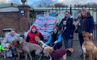 David Common, manager at Wanderers Haven Animal Sanctuary, thanked Percuro for its 